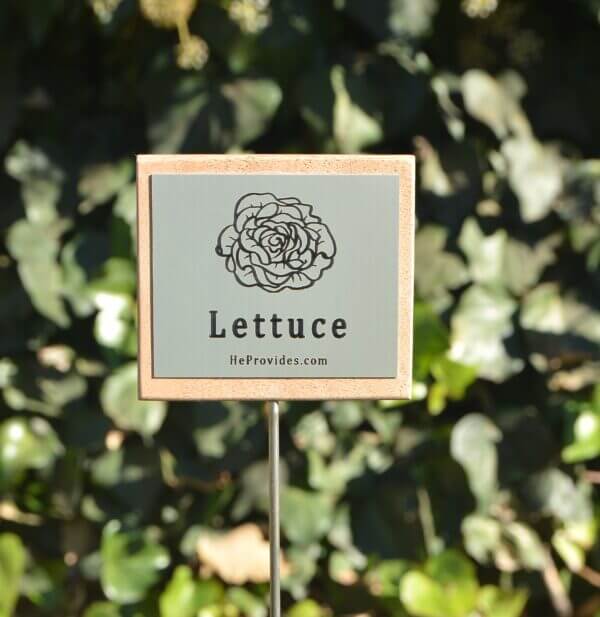 Lettuce Tag