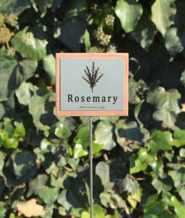 Rosemary Tag