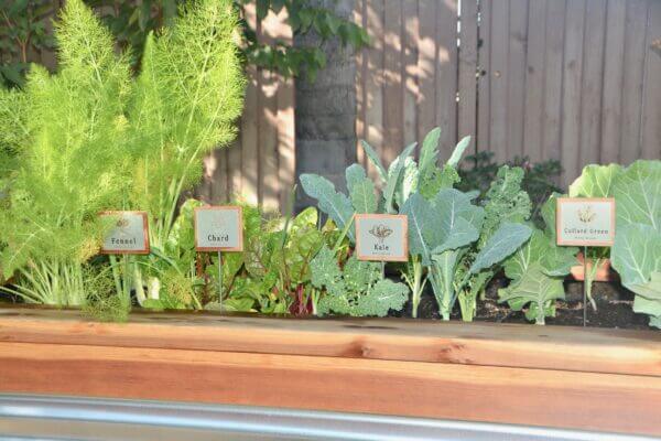 Raised Bed Garden Plant Tags