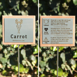 Carrot Plant Tag Front and Back