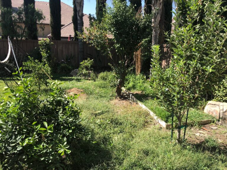 Before He Provides Raised Bed Gardens In Riverside California Side View