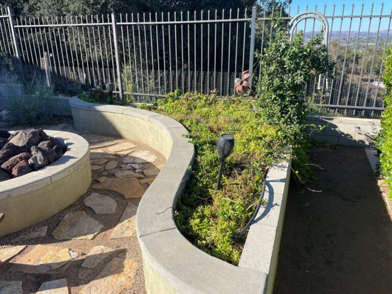 Overgrown Concrete raised bed with succulents planted before He Provides Raised Bed Gardens Makeover