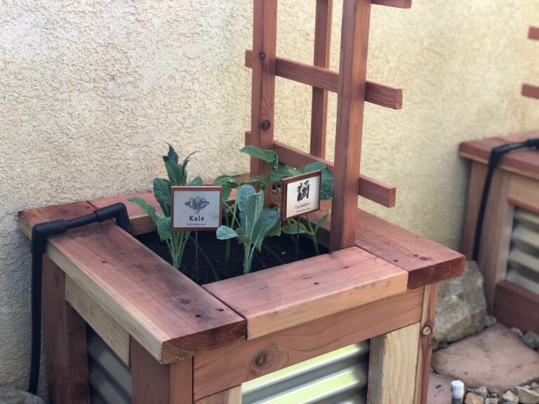 Dino Kale Plants and Cucumber Plants Just Planted in He Provides Raised Bed Garden in Banning California Garden Arch Custom Plant Tags