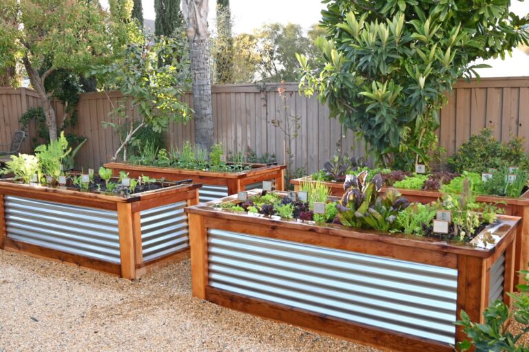 Four Large- Raised Bed Gardens Growing Fresh Produce in Riverside California by He Provides