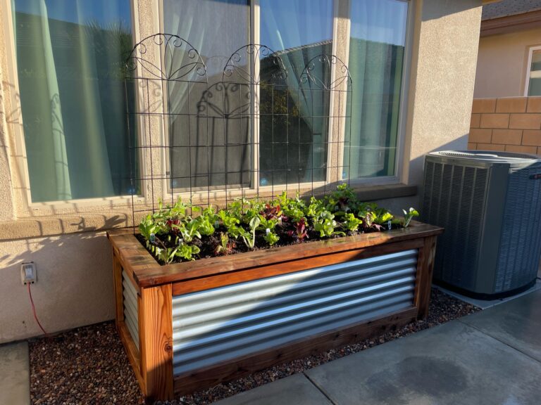 Just Planted Large Raised Bed Garden with Trellises In Palm Desert California by He Provides