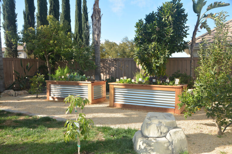 Raised Bed Garden In Riverside California by He Provides Raised Bed Gardens