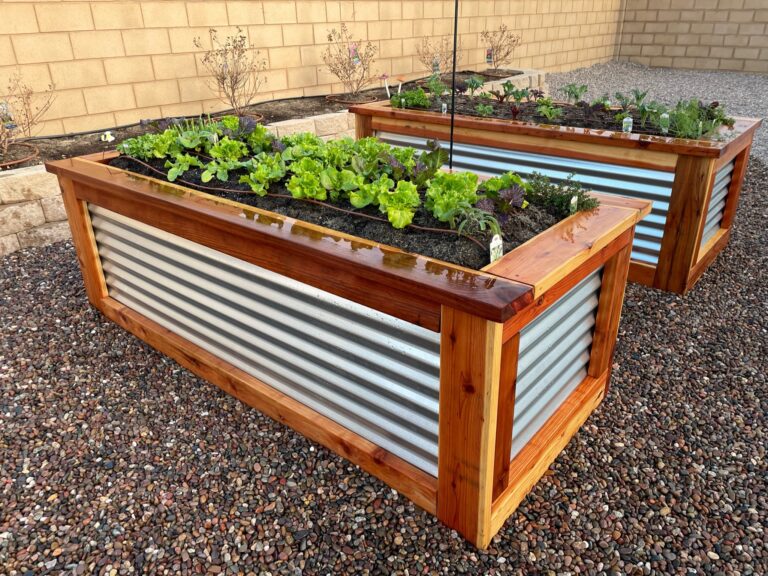 Large Raised Bed Gardens Newly Planted by He Provides in Yucaipa California